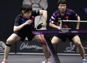 爱游戏在线-波兰队鏖战德国队，梁靖崑刷新纪录