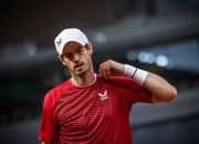 爱游戏-英国网球队血洗日本网球队，穆雷惊艳世界