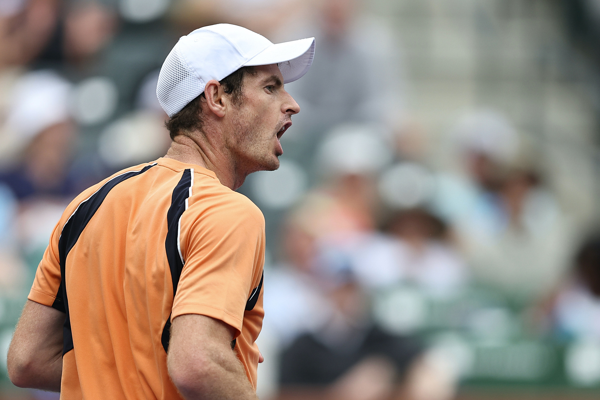 德国网球队力克英国网球队,穆雷完成帽子戏法 德国网球队力克英国网球队,穆雷完成帽子戏法