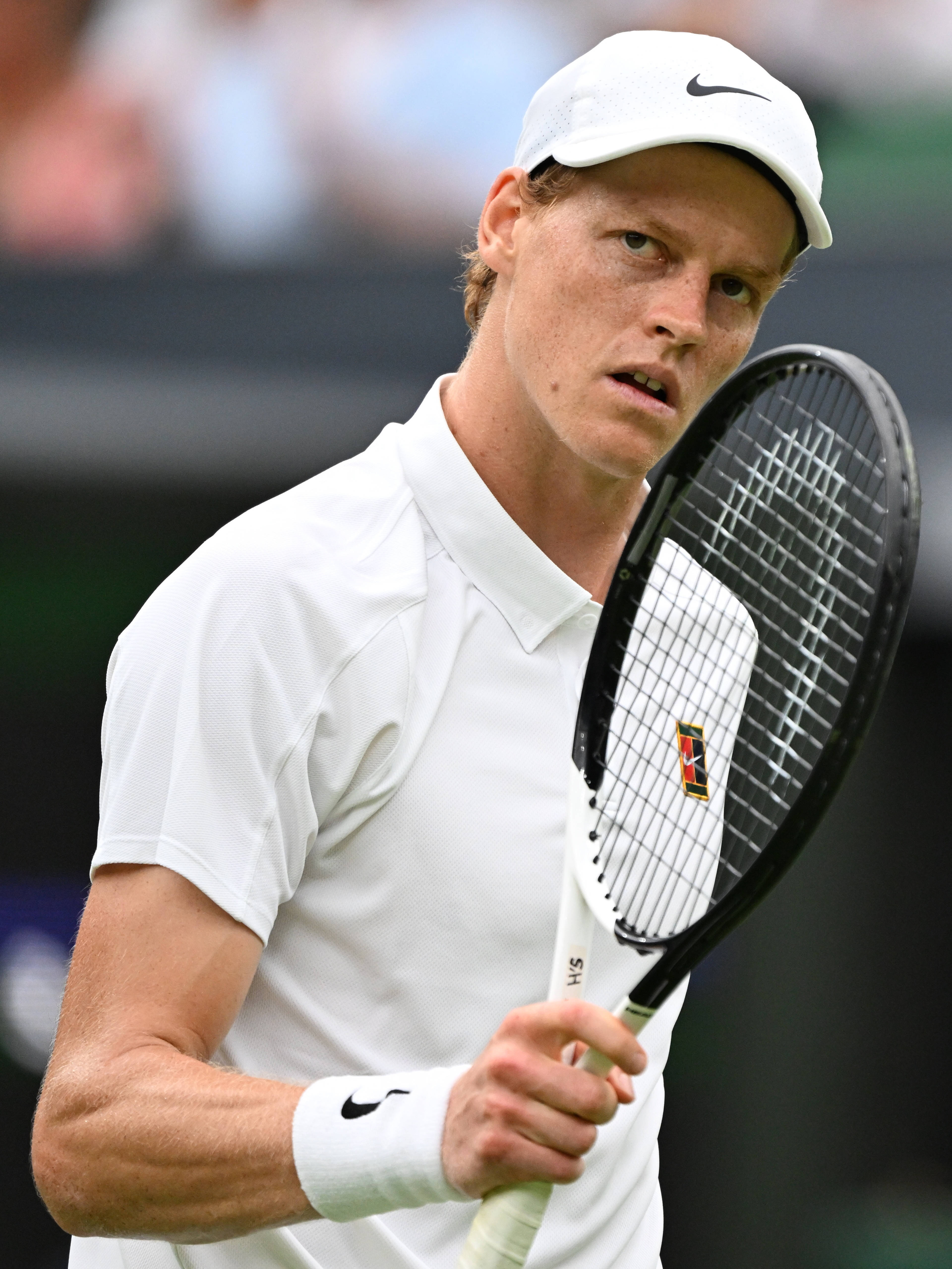 温网翻盘蒙特卡洛大师赛,辛纳惊艳四座 温网翻盘蒙特卡洛大师赛,辛纳惊艳四座