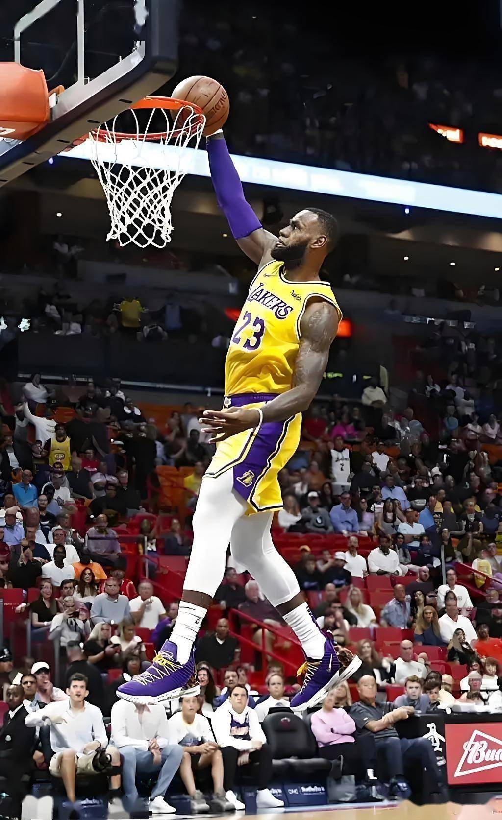 球员技惊四座，扣篮连连惊艳全场