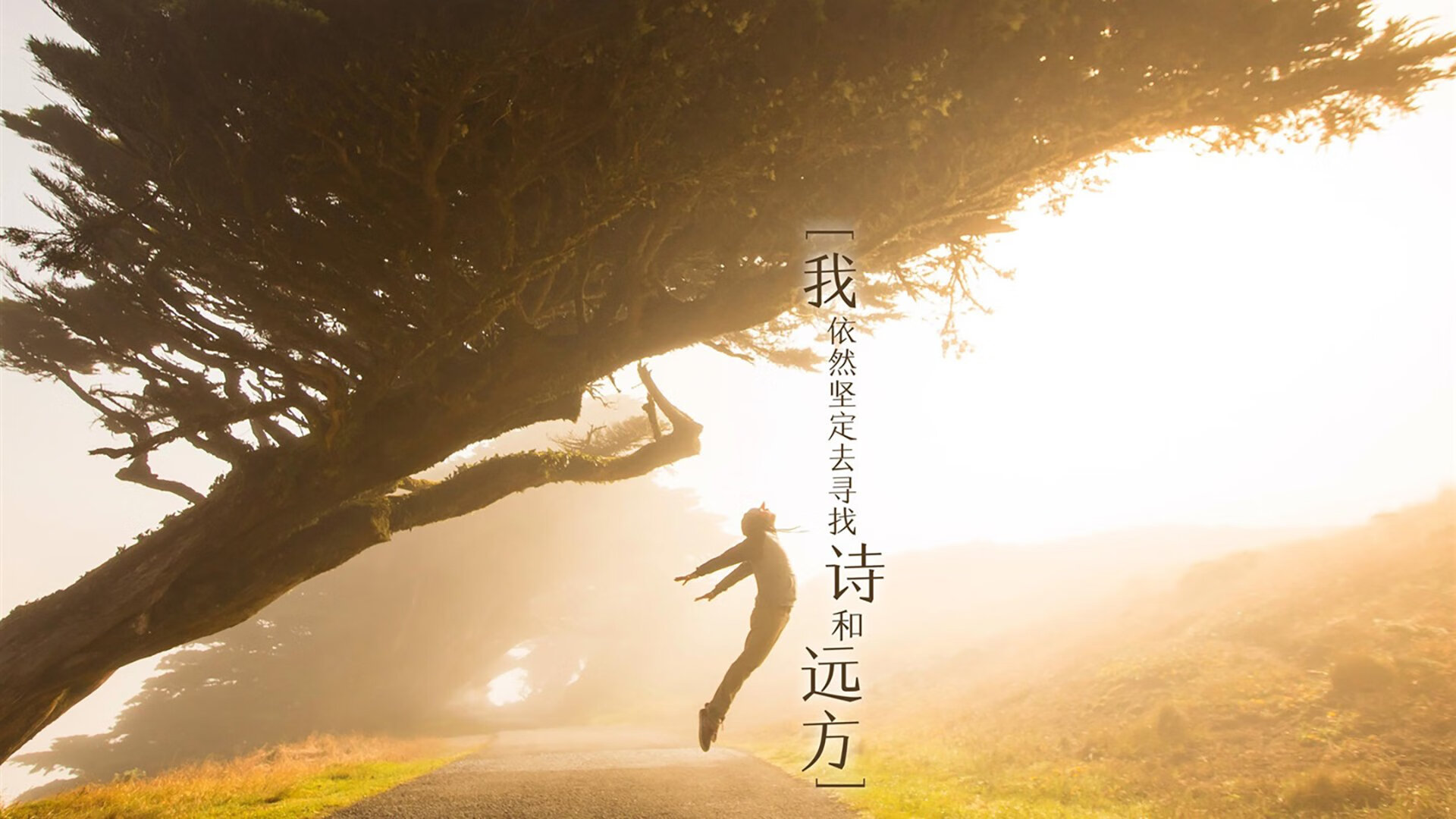 骑士对阵魔术，西亚卡姆带队取胜，东部格局再起波澜